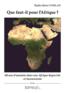 Que faut-il pour l'Afrique ?  - Comlan Thales Idriss  