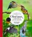 Le petit Larousse des oiseaux de France & d'Europe : identifier 500 espèces des plus communes aux plus rares                                         