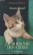 Le royaume des chats