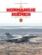 Normandie Niémen ; un escadron au combat