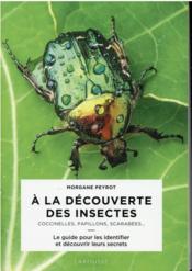 À la découverte des insectes : coccinelles, papilllons, scarabées...  - Morgane PEYROT 