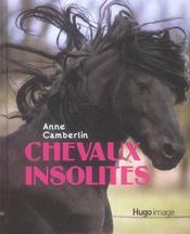 Chevaux insolites  - Anne Camberlin 