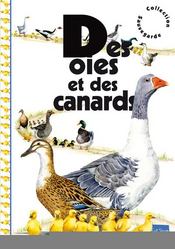 Des oies et des canards  - Jean-Baptiste De Panafieu 