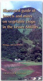 Illustrated guide of insects guide of insects and mites on vegetable crops in the Lesser Antilles  - Philippe Ryckewaert 