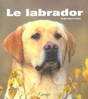 Le Labrador - Intérieur - Format classique