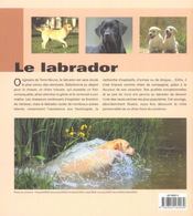 Le Labrador - 4ème de couverture - Format classique