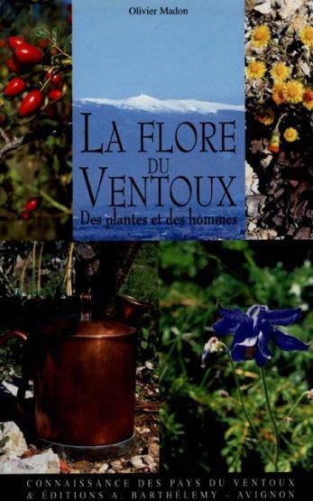 La flore du ventoux