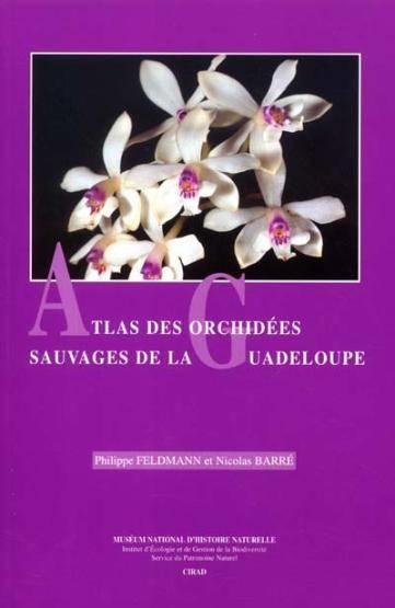 Atlas Des Orchidees Sauvages De La Guadeloupe
