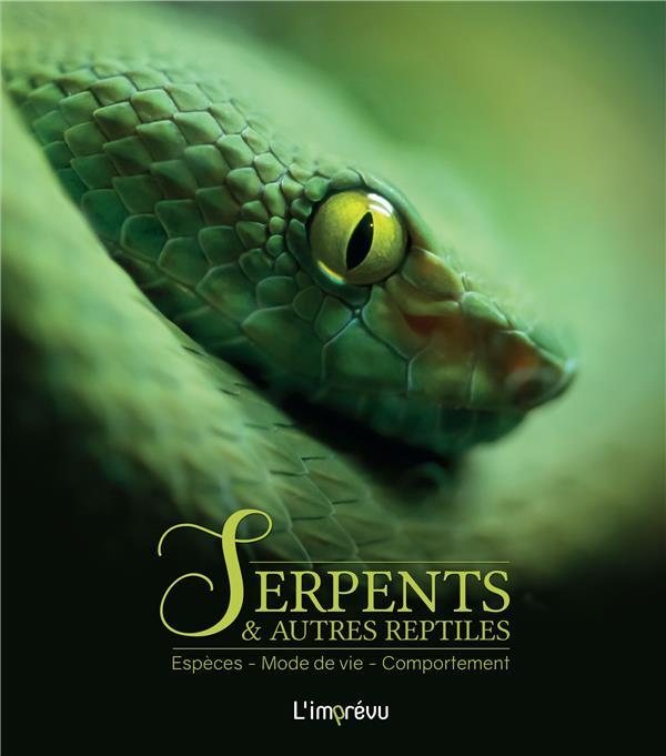 Serpents et autres reptiles : espèces, mode de vie, comportement  