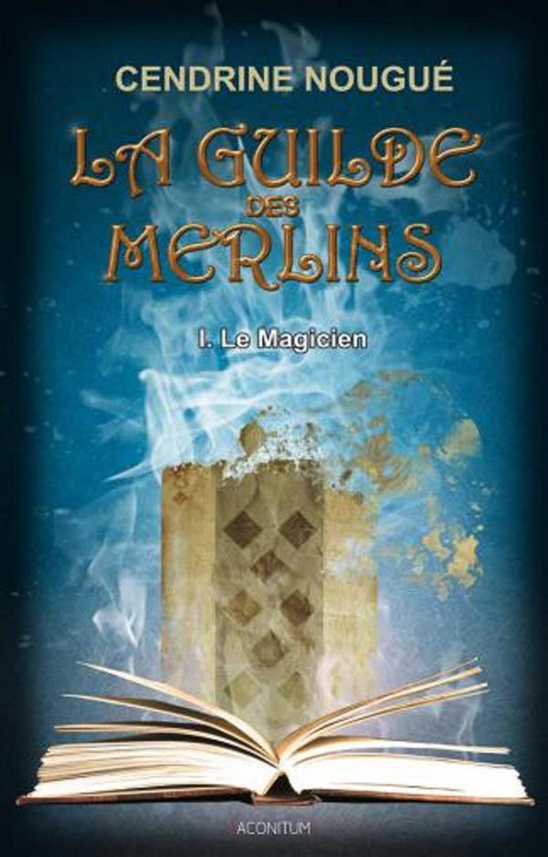 La guilde des merlins t.1 ; le magicien