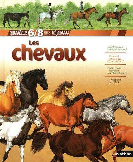 Les chevaux ; 6/8 ans