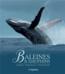 Baleines et dauphins : espèces, mode de vie, comportement  - Rudiger Wandrey  