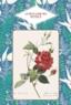 Le petit livre des roses                                         - Michel Beauvais                                         