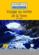 Voyage au centre de la Terre, d'après Jules Verne ; niveau 1 A1 (2e édition)