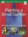 Rhs Simple Steps To Success: Planting A Small Garden: Simple Steps To Success